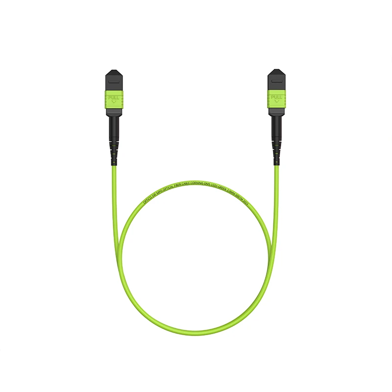 24F MTP Cable 24F MTP Cable